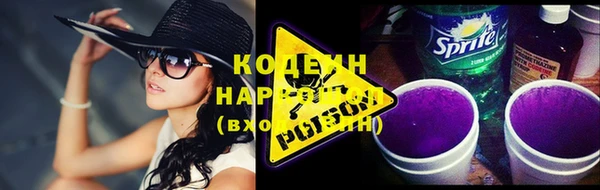 прущие грибы Горнозаводск