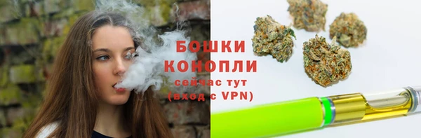 прущие грибы Горнозаводск