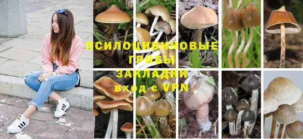 скорость Горно-Алтайск