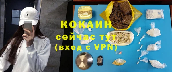 прущие грибы Горнозаводск