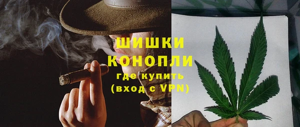 прущие грибы Горнозаводск
